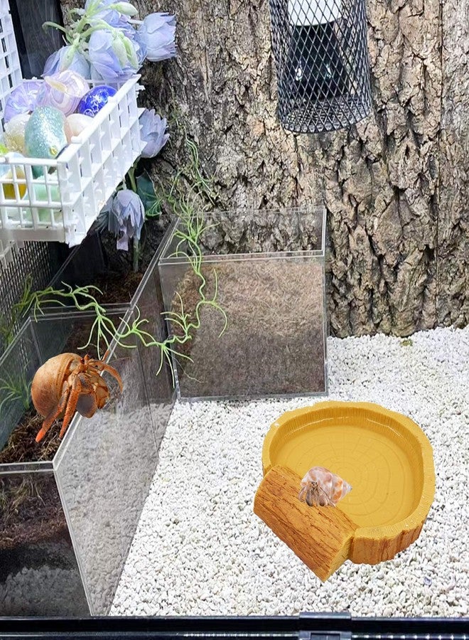 Neeenn Hermit Crab Pool, Resin Reptile Water Bowl & Bathing Dish, Aquarium Tank Cage Habitat Accessories for Small to Medium Hermit Crab Turtles Lizard Frog Gecko Bearded Dragon - Image 3